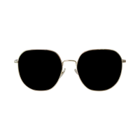Classic Round Metal Eyeglasses Frame
